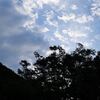 23年夏休み02_アルカナイズ夕飯