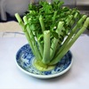 大根のヘタを食す