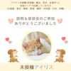 ワクチン未接種(非接種) 婚活 🐿説明＆座談会🐿