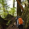 立夏の綱附森遊山　沢を遡る