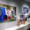 【KG+】2024.4/4～6/9＿BALL GAG「Hype（Loop）Core」＠BnA Alter Museum　【ART】2024.4/4～22「Drago（Loop）Core」＠京都蔦屋書店