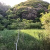 巨人が山をひとまたぎ デーボコ坊の足跡（横須賀市）