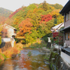 和歌山～奈良 温泉＆紅葉旅（回想録）⑤ 大和國 長谷寺