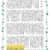 ほおずきサロン４４💗