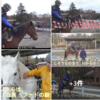 富士山麓鳴沢村で乗馬体験 西湖いやしの里　根場の蕎麦 ホーストレッキング 　🐎
