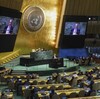 (202)　「人道的休戦」を要請する決議案を121カ国の賛成で採択 (国連総会 10月27日)