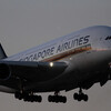  SQ 9V-SKS A380-800