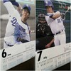 6月&7月のカレンダー。柳&…