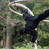 千葉市動物園とセンサーの汚れ