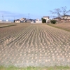 わが神久呂の風景(2)    散歩で見かけた田園の風景