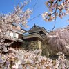 第22回上田城千本桜まつり：見どころと楽しみ方〜2025年版〜