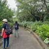 旬の花を楽しむツアー（前半）