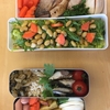 写真を1枚にした弁当