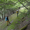 夏至に入るカヤハゲ遊山　森の道