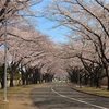 国際結婚が見えてきた感じ