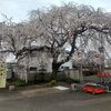 桜＆温泉_小山・三郷