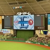 プロ野球観戦レポート：西武ライオンズVS東北楽天ゴールデンイーグルス（５月１１日）