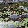 どうでもいい話