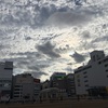ねこたま骨折日記（7月14日）