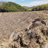 折坂池（兵庫県淡路）