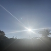 夏よ、あと少しだけ。