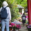 2024年6月20日（木）　明日香（飛鳥）を電動アシスト自転車で巡る。