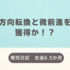育児日記　生後6.5か月　方向転換と微前進を獲得か！？