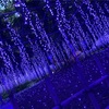【栃木・イルミネーション】あしかがフラワーパーク混雑回避できる？余裕を持って楽しもう！【デート・観光】