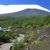 初秋の富士山とヒガンバナの日向