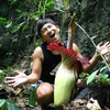 【スマトラ旅行】世界一大きな花が見られる「バトゥカタック（Batu Katak）」