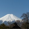 【予知夢】茨城県の郁代さんが見た「伊豆半島でM6.8」の直下型地震の夢