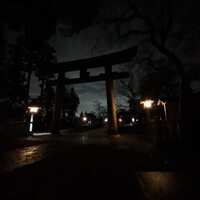 夕闇の雨上がりですね！