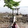 豊前国宇佐郡→豊後国速見郡大神郷