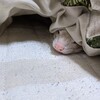 こんなに最高な動物はいない！愛すべきフェレット！