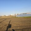 運転免許の更新へ行く