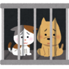 コロナの影響！保護動物を飼おう～ブリーダーさんの廃業～