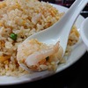 神泉の大陸系中華！　龍盛菜館（渋谷、神泉/蝦仁炒飯エビチャーハン）