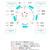 十大主星の出し方　日干「丙」「丁」の場合