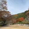 岡山市北区　黒谷ダムの紅葉