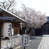 過去のお花見記録（壬生寺・八木邸編）