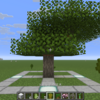 【マイクラ】アカシアの木はどこ？｜入手方法・育て方や植林も解説