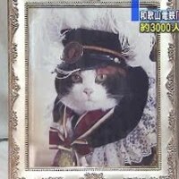 ネコが落ちる動画 森 階段 異次元で Falling Cats In Woods On Stairs And In Another Dimension 東京キヤビン Music Entertainment News