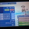 ポケモンUSUM 連鎖で4Vメタモンや隠れ特性ポケモンをゲットしよう！