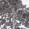 履歴稿　北海道似湾編 　吹雪　10の10
