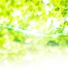 心のクリーニング。毎日、幸せに過ごす為にしたら良い事。
