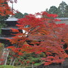 湖南三山　常楽寺の秋その１