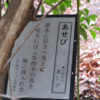 万葉集の世界に飛び込もう―万葉歌碑を訪ねて（その２５４８）―