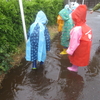 雨も好き・雨が好き