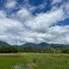 2022/06/09 木曜日　梅雨の晴れ間と積乱雲