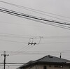 一日中　雨☂　